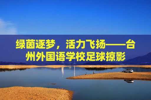 绿茵逐梦,活力飞扬——台州外国语学校足球掠影