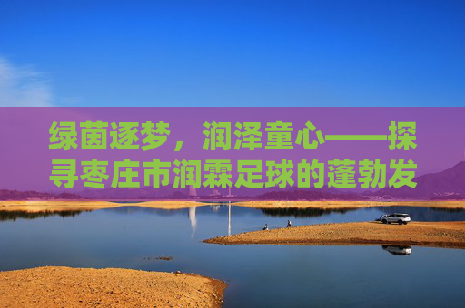 绿茵逐梦,润泽童心——探寻枣庄市润霖足球的蓬勃发展与足球情怀