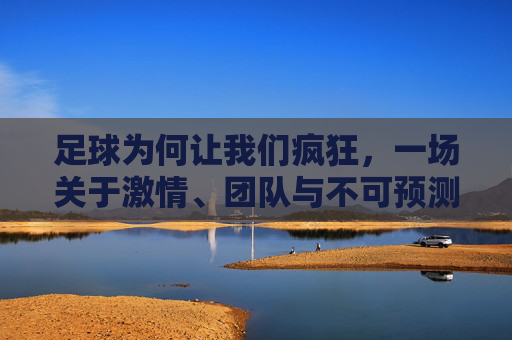 足球为何让我们疯狂,一场关于激情、团队与不可预测性的终极解读