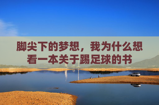 脚尖下的梦想,我为什么想看一本关于踢足球的书