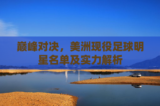 巅峰对决,美洲现役足球明星名单及实力解析