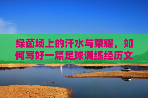 绿茵场上的汗水与荣耀,如何写好一篇足球训练经历文章