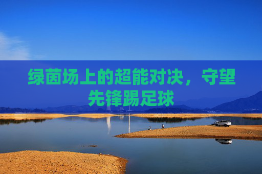 绿茵场上的超能对决,守望先锋踢足球