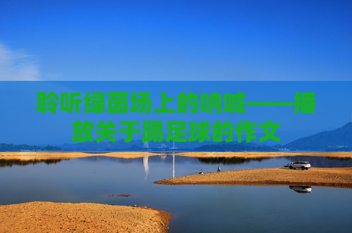 聆听绿茵场上的呐喊——播放关于踢足球的作文