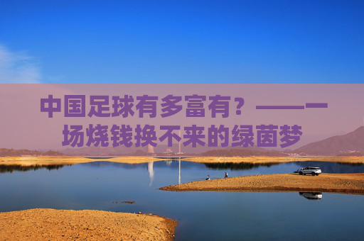 中国足球有多富有？——一场烧钱换不来的绿茵梦