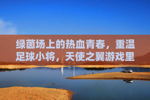 绿茵场上的热血青春,重温足球小将,天使之翼游戏里的那个夏天