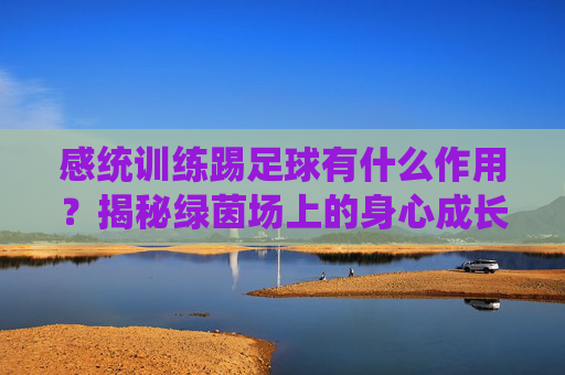 感统训练踢足球有什么作用？揭秘绿茵场上的身心成长密码