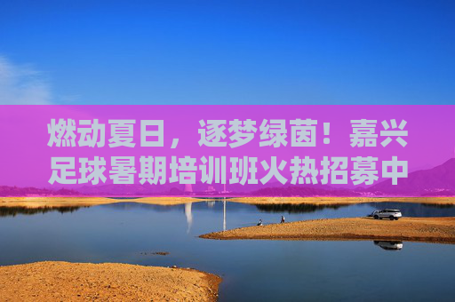 燃动夏日,逐梦绿茵!嘉兴足球暑期培训班火热招募中