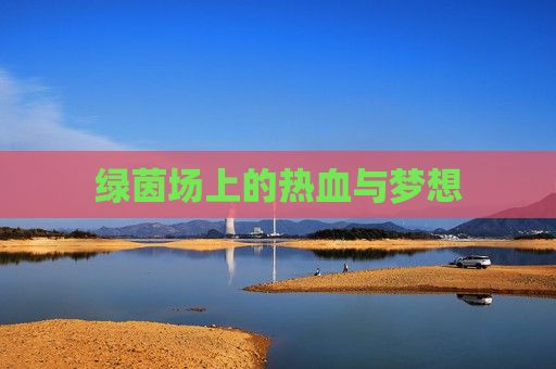 绿茵场上的热血与梦想