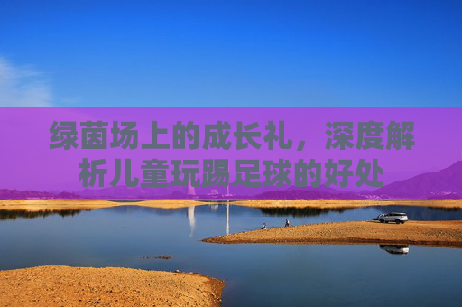 绿茵场上的成长礼,深度解析儿童玩踢足球的好处