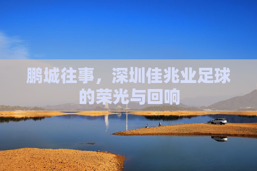 鹏城往事,深圳佳兆业足球的荣光与回响