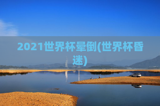 2021世界杯晕倒(世界杯昏迷)