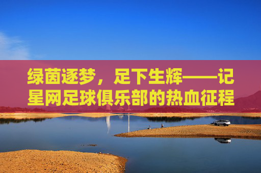 绿茵逐梦，足下生辉——记星网足球俱乐部的热血征程