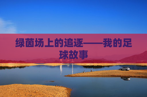 绿茵场上的追逐——我的足球故事
