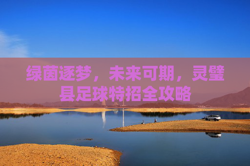 绿茵逐梦,未来可期,灵璧县足球特招全攻略
