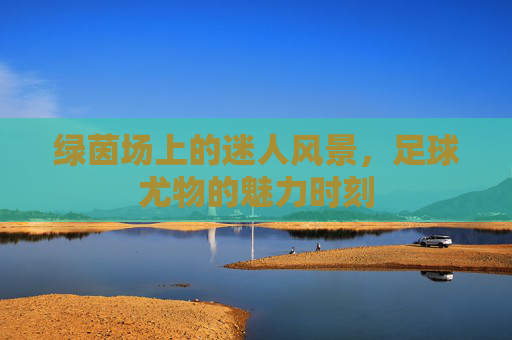 绿茵场上的迷人风景,足球尤物的魅力时刻