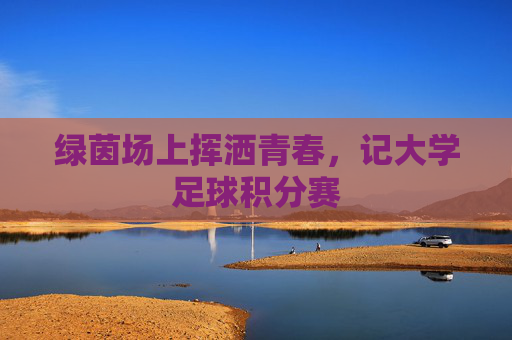 绿茵场上挥洒青春，记大学足球积分赛