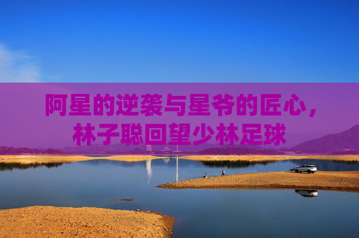 阿星的逆袭与星爷的匠心，林子聪回望少林足球