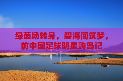 绿茵场转身，碧海间筑梦，前中国足球明星购岛记