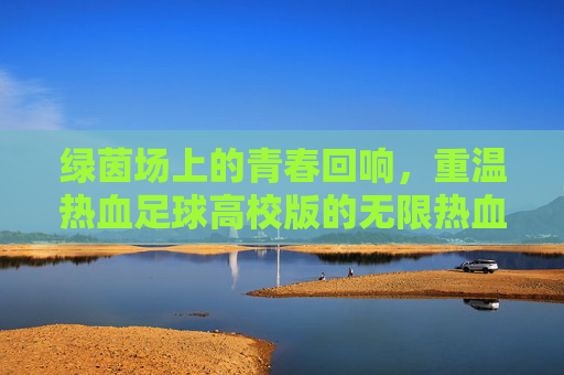 绿茵场上的青春回响,重温热血足球高校版的无限热血
