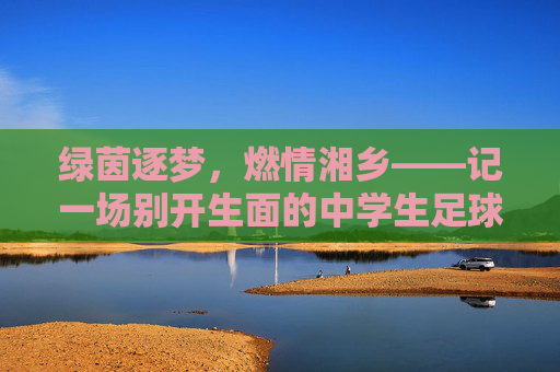 绿茵逐梦，燃情湘乡——记一场别开生面的中学生足球赛