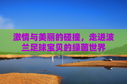 激情与美丽的碰撞,走进波兰足球宝贝的绿茵世界