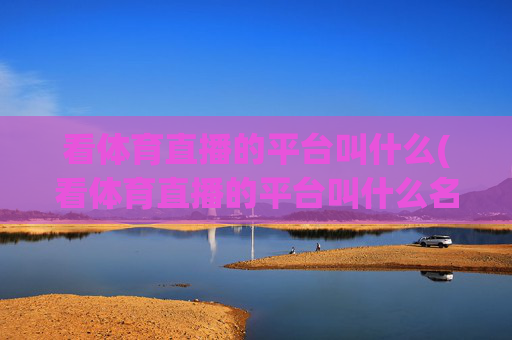 看体育直播的平台叫什么(看体育直播的平台叫什么名字)
