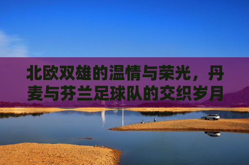 北欧双雄的温情与荣光,丹麦与芬兰足球队的交织岁月
