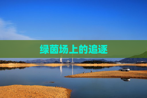 绿茵场上的追逐