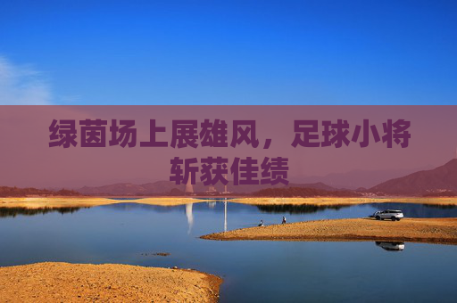 绿茵场上展雄风,足球小将斩获佳绩