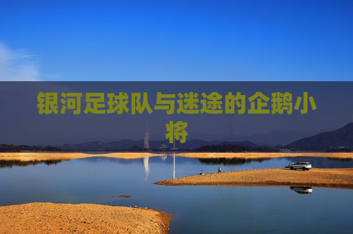银河足球队与迷途的企鹅小将