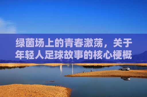 绿茵场上的青春激荡，关于年轻人足球故事的核心梗概