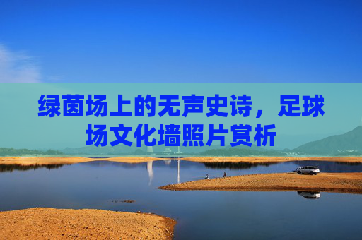 绿茵场上的无声史诗,足球场文化墙照片赏析