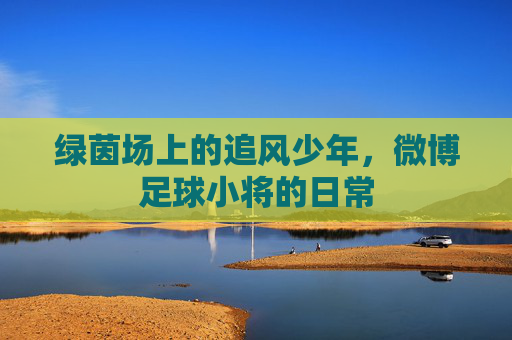 绿茵场上的追风少年,微博足球小将的日常