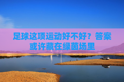 足球这项运动好不好?答案或许藏在绿茵场里