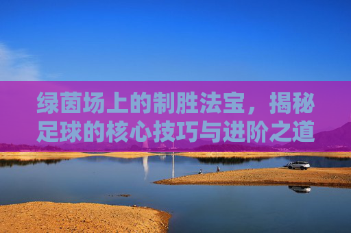 绿茵场上的制胜法宝，揭秘足球的核心技巧与进阶之道