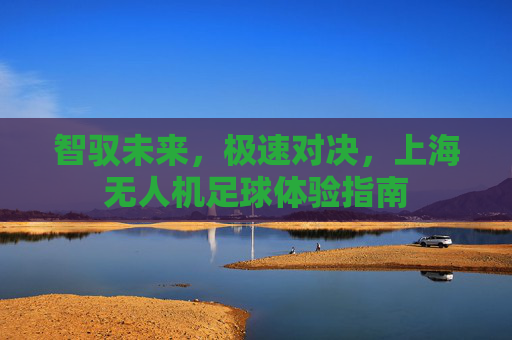 智驭未来,极速对决,上海无人机足球体验指南
