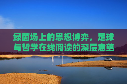 绿茵场上的思想博弈,足球与哲学在线阅读的深层意蕴