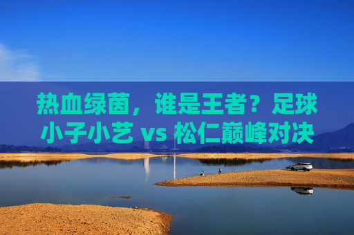 热血绿茵，谁是王者？足球小子小艺 vs 松仁巅峰对决