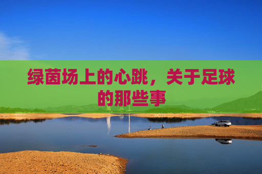 绿茵场上的心跳,关于足球的那些事