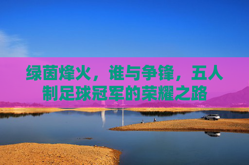 绿茵烽火，谁与争锋，五人制足球冠军的荣耀之路