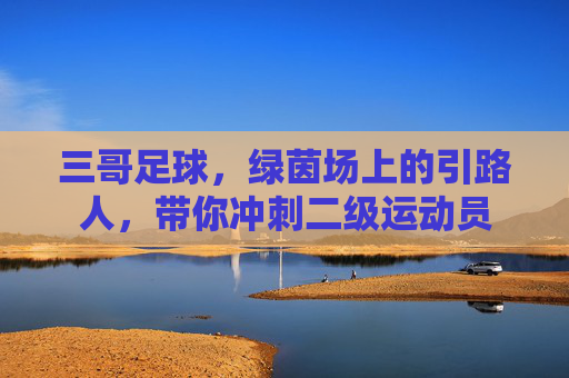 三哥足球，绿茵场上的引路人，带你冲刺二级运动员