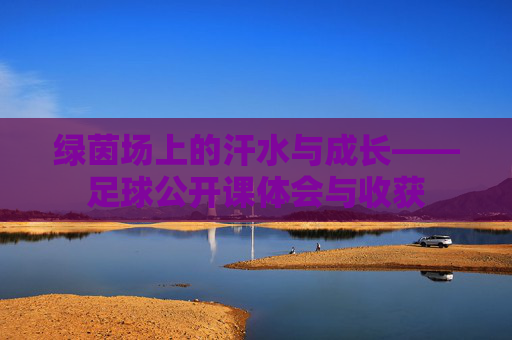绿茵场上的汗水与成长——足球公开课体会与收获