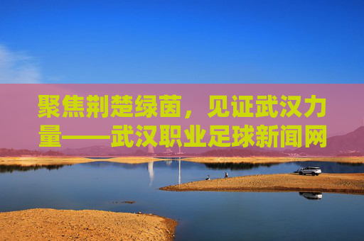 聚焦荆楚绿茵,见证武汉力量——武汉职业足球新闻网