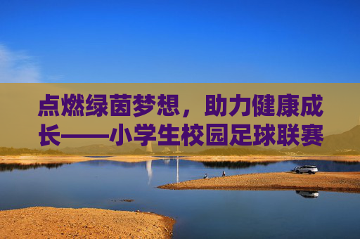 点燃绿茵梦想,助力健康成长——小学生校园足球联赛实施方案