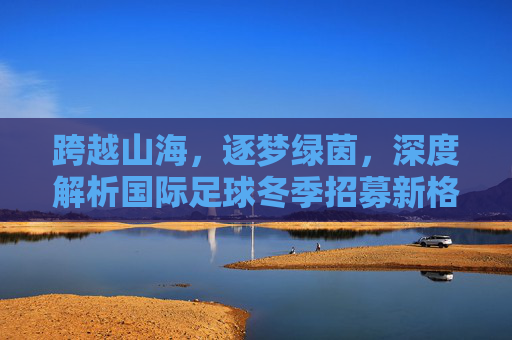 跨越山海,逐梦绿茵,深度解析国际足球冬季招募新格局