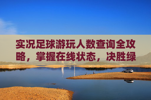 实况足球游玩人数查询全攻略，掌握在线状态，决胜绿茵赛场