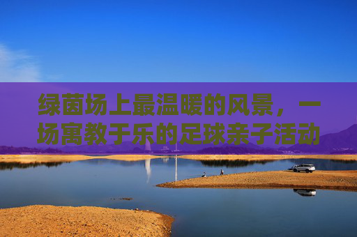 绿茵场上最温暖的风景，一场寓教于乐的足球亲子活动方案全攻略