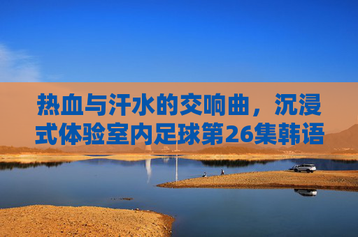 热血与汗水的交响曲,沉浸式体验室内足球第26集韩语版