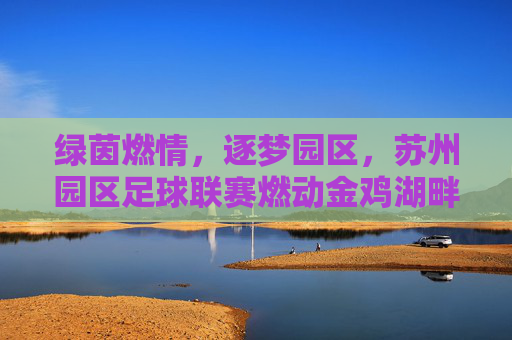 绿茵燃情,逐梦园区,苏州园区足球联赛燃动金鸡湖畔